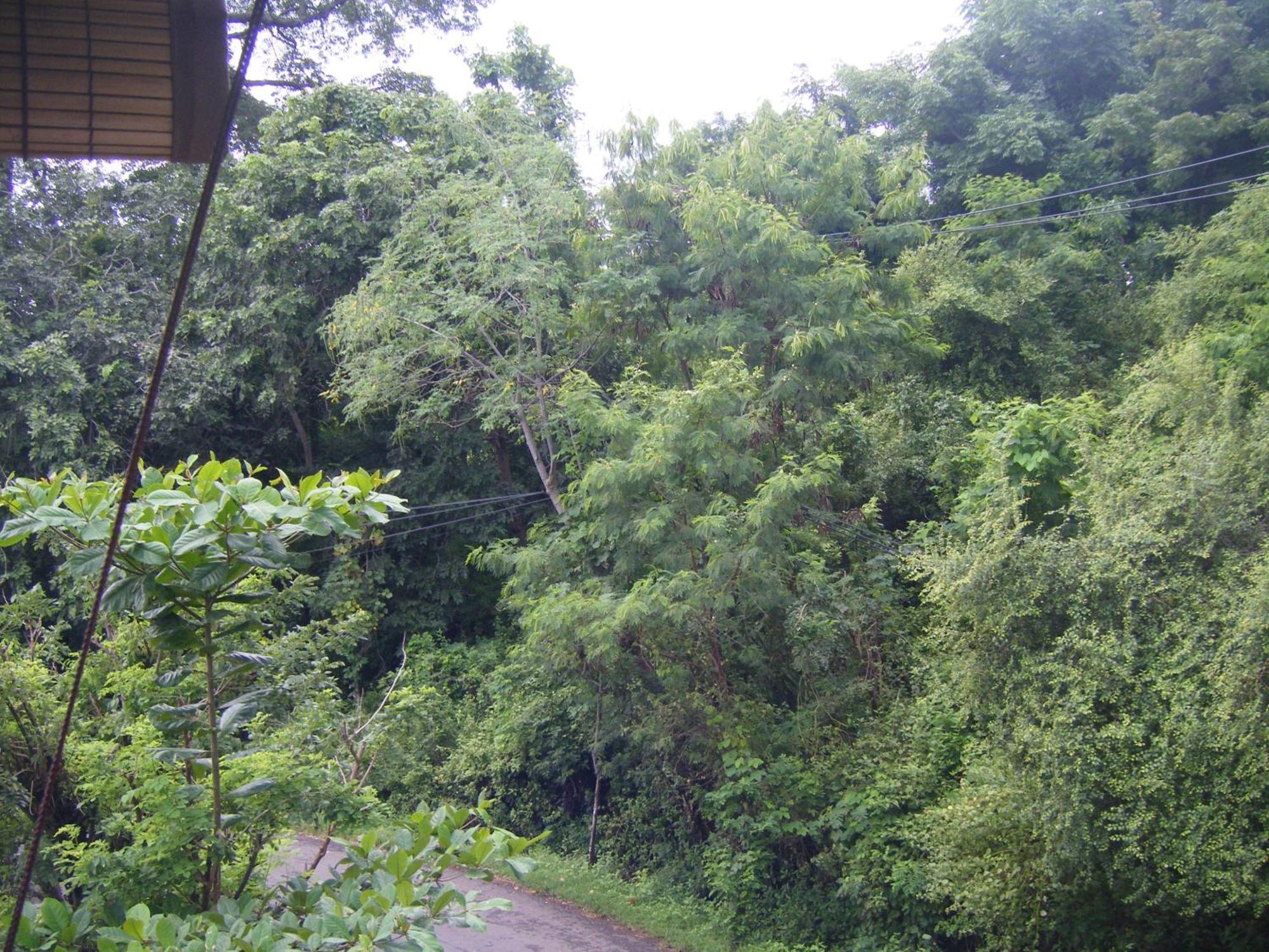 Bubu Racok Homestay Amed Rum bild